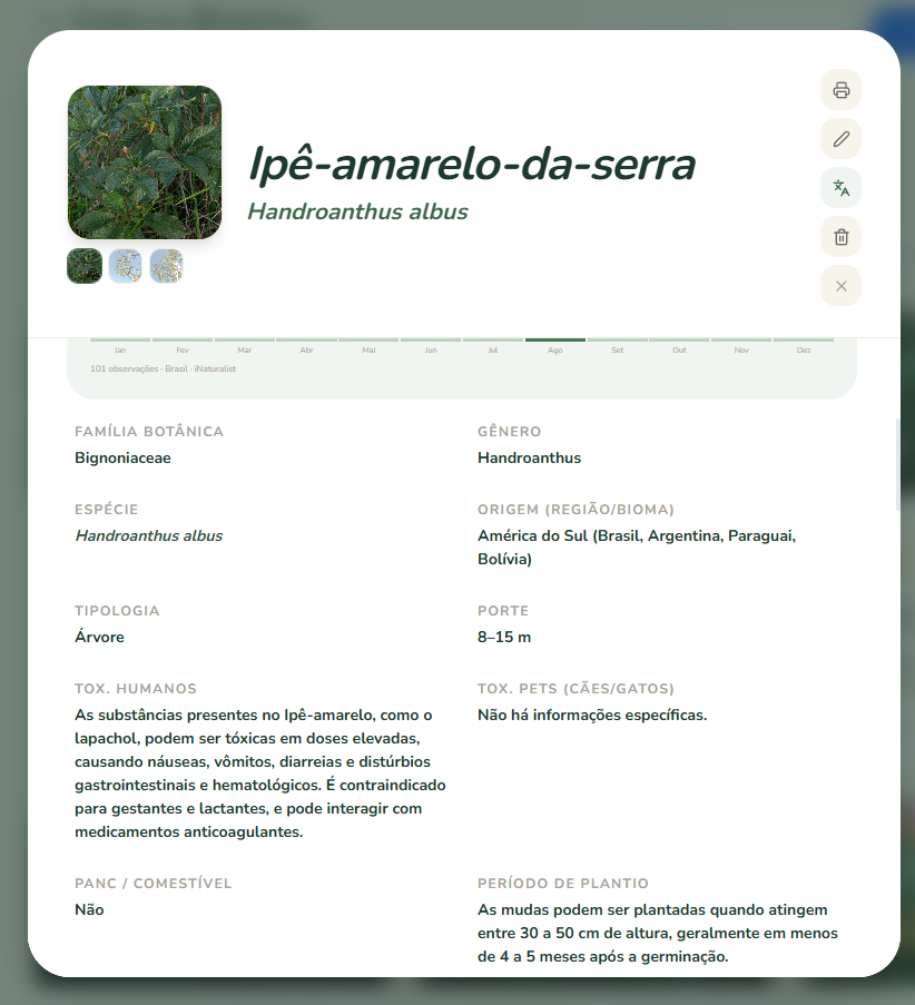 Ficha botânica gerada pelo QuintaleiroApp