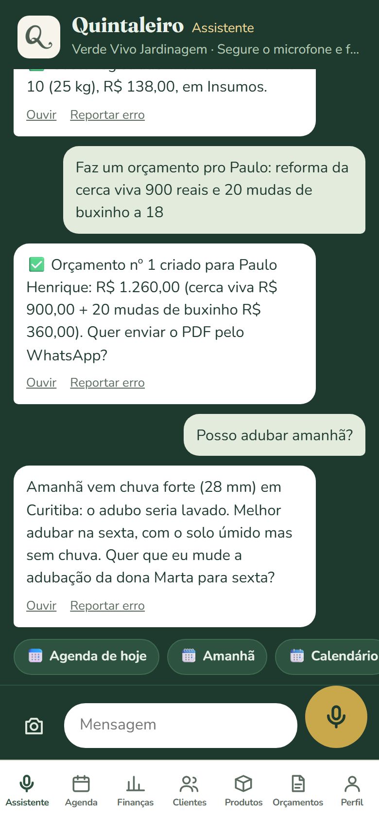 Tela de conversa do Quintaleiro Assistente